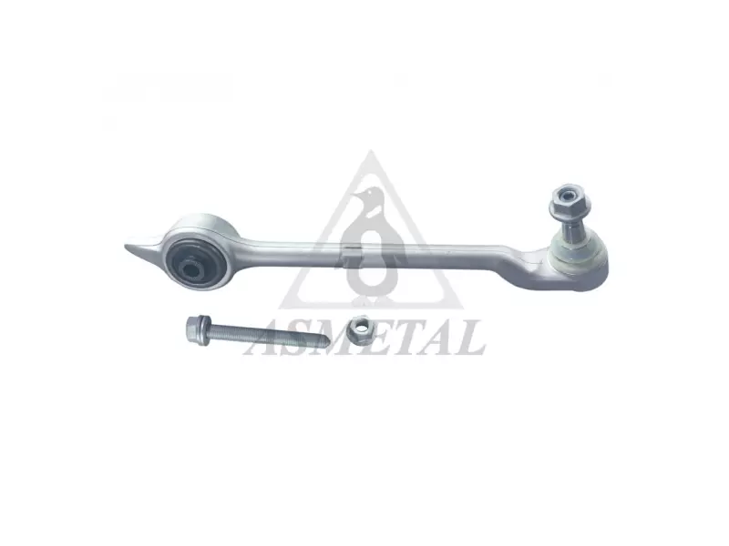 Track Control Arm Lower Right