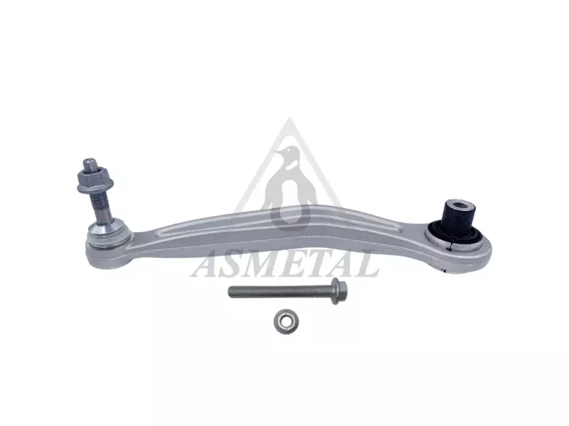 Track Control Arm Rear Left