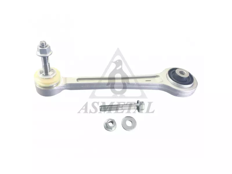 Track Control Arm Rear