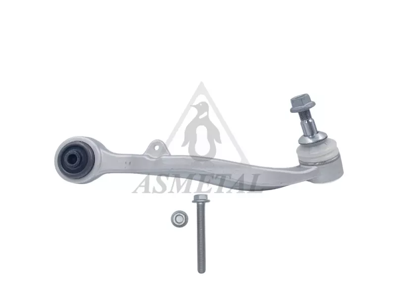 Track Control Arm Lower Right