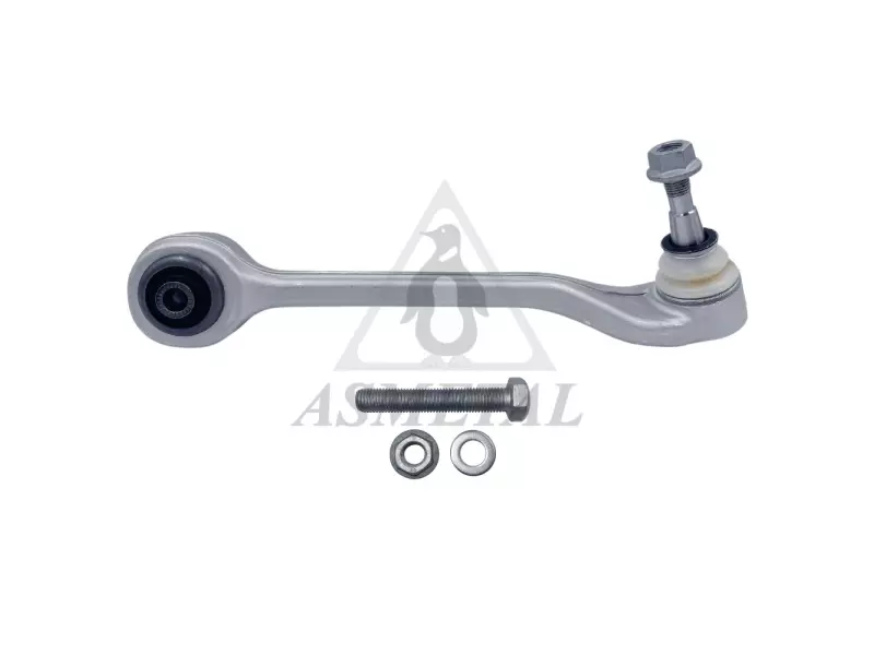 Track Control Arm Lower Right