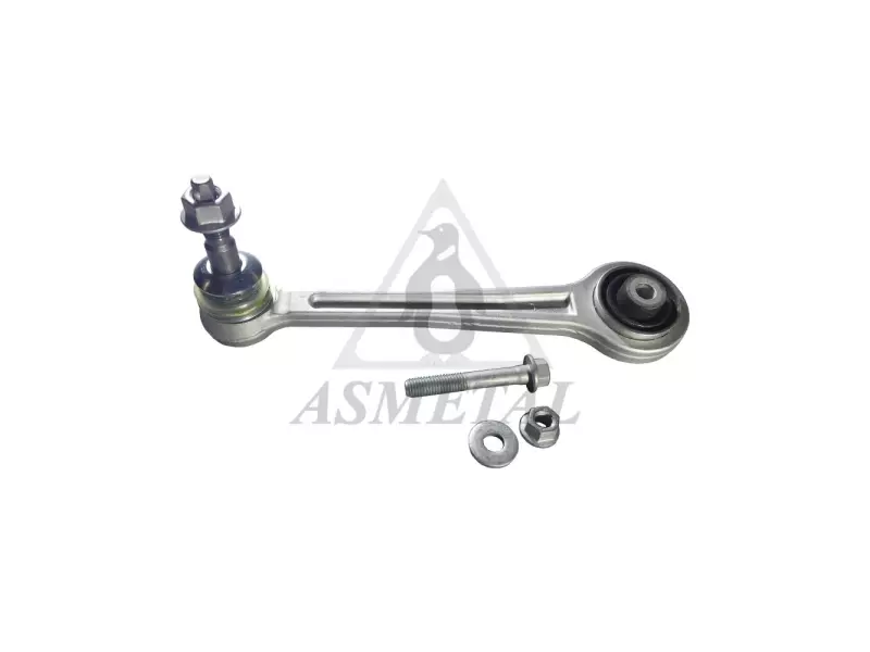 Track Control Arm Rear Left