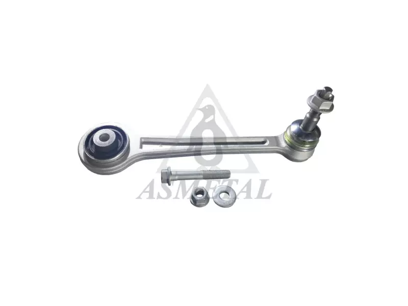 Track Control Arm Rear Right