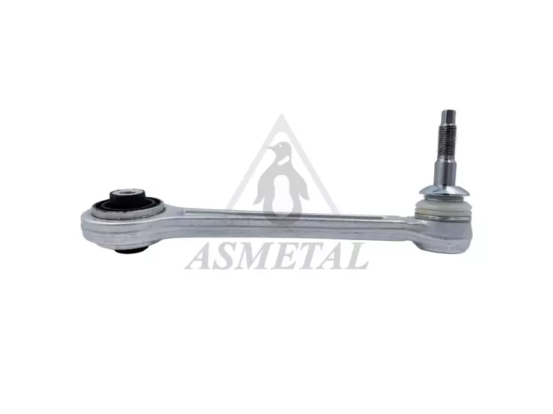 Track Control Arm Rear Right (Without Fasteners)