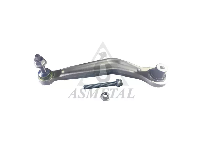 Track Control Arm Rear Left