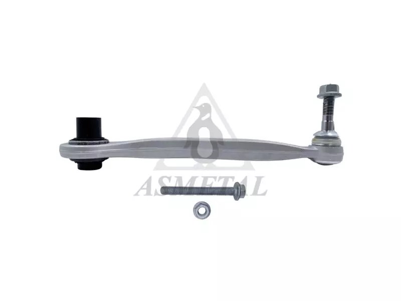 Track Control Arm Rear Right