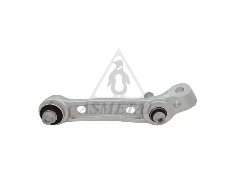 Track Control Arm Lower Right