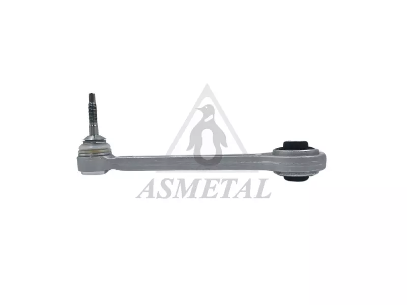 Track Control Arm Rear