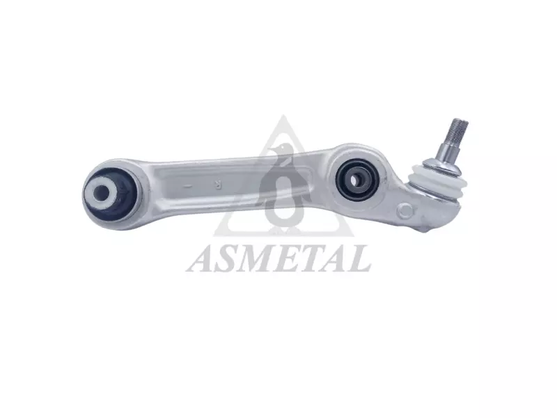 Track Control Arm Lower Right (Without Fasteners)