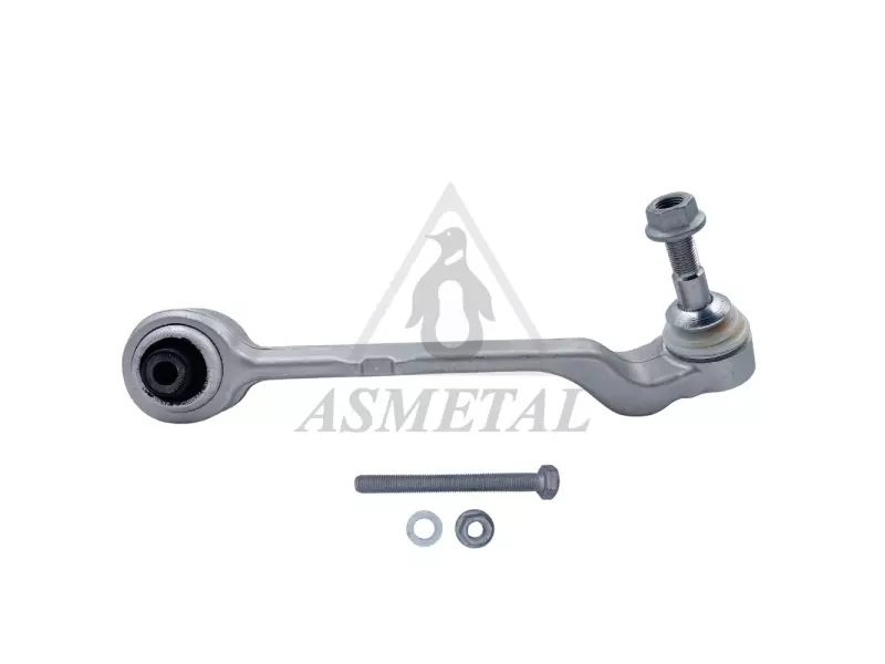 Track Control Arm Lower Right