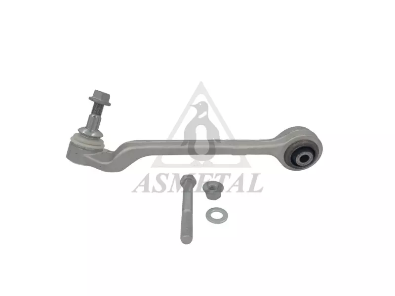 Track Control Arm Lower Right