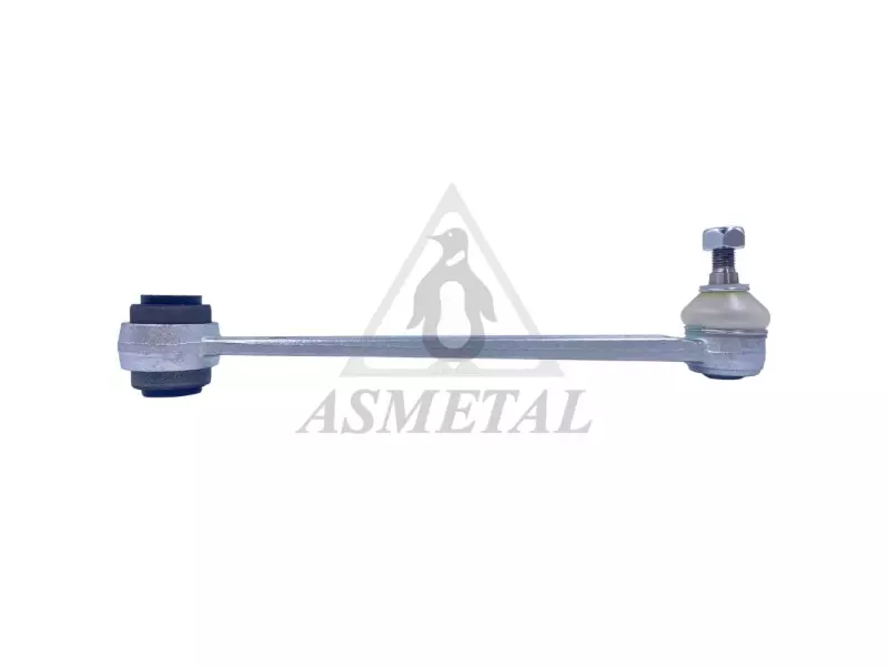 Track Control Arm Rear