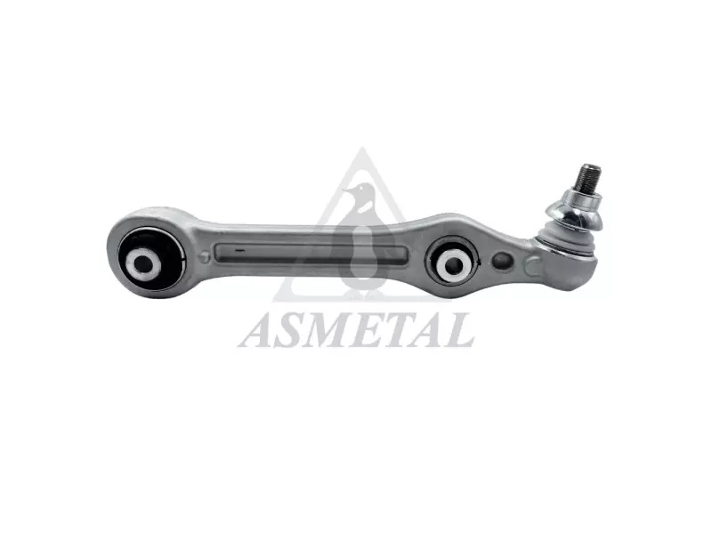 Track Control Arm Lower (Without Fasteners)