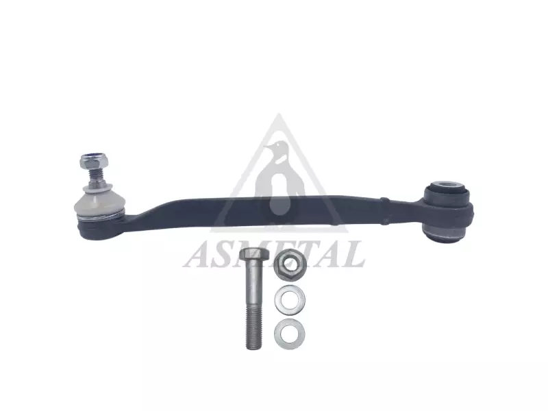 Track Control Arm Lower Rear