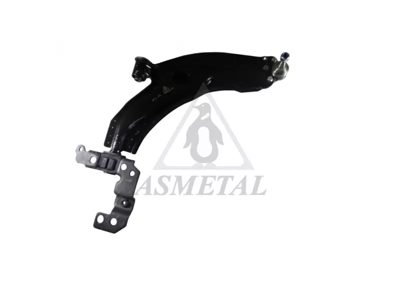 Track Control Arm Right