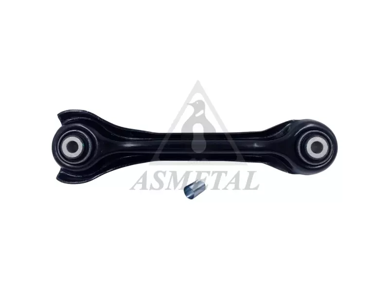 Track Control Arm Rear