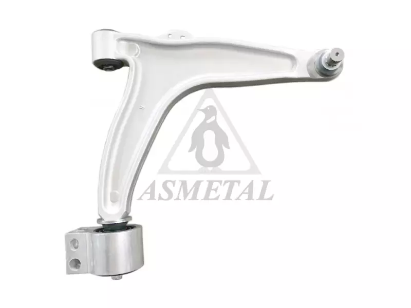 Track Control Arm Right