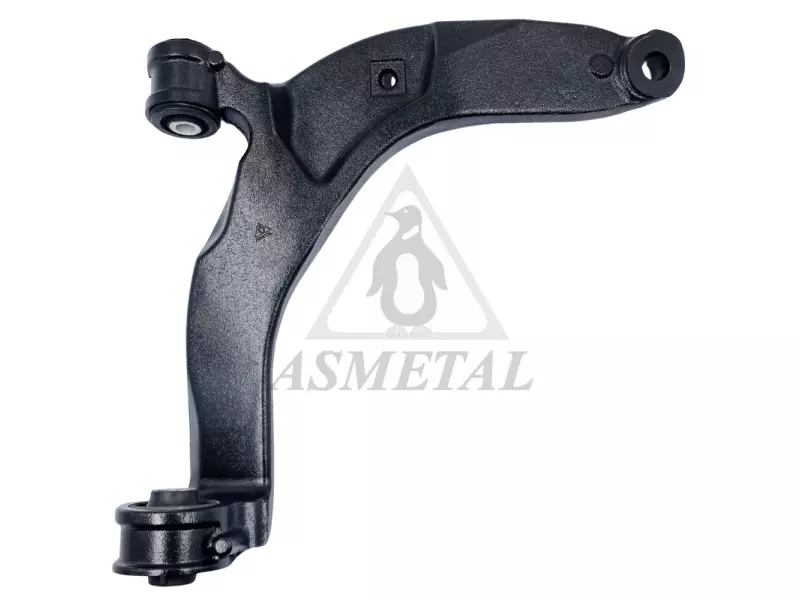 Track Control Arm Right (Without Ball Joint)