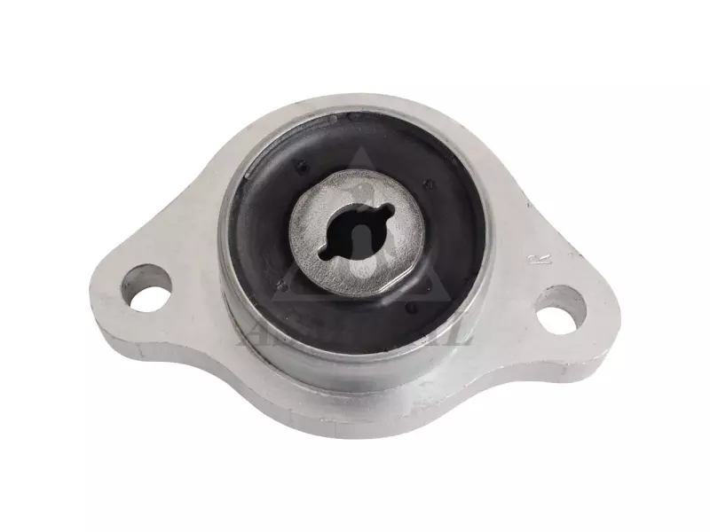 Silentblock for TCA Right