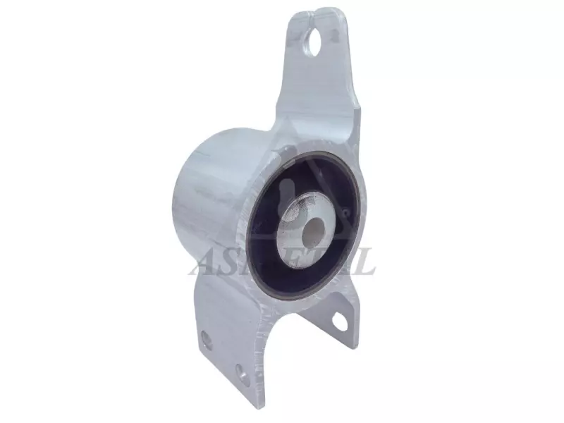 Silentblock for TCA Right