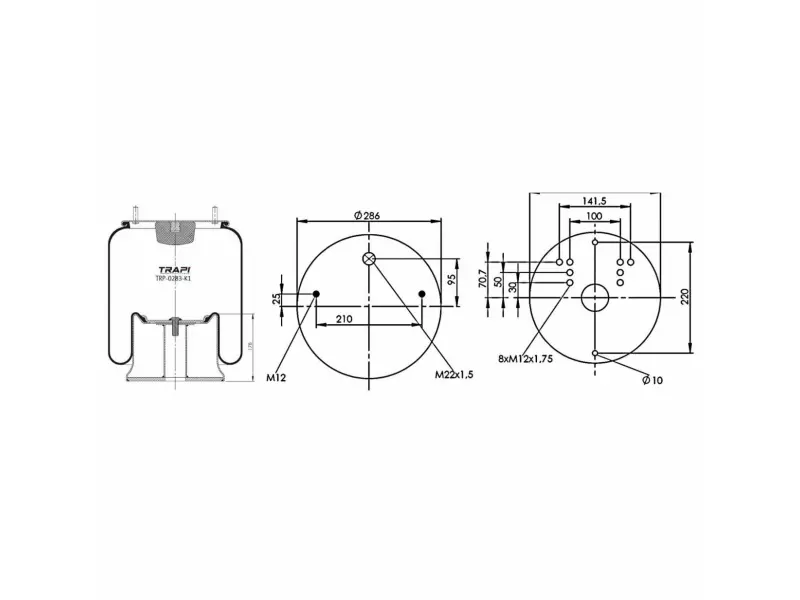 COMPLETE WITH METAL PISTON