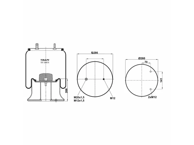 COMPLETE WITH METAL PISTON