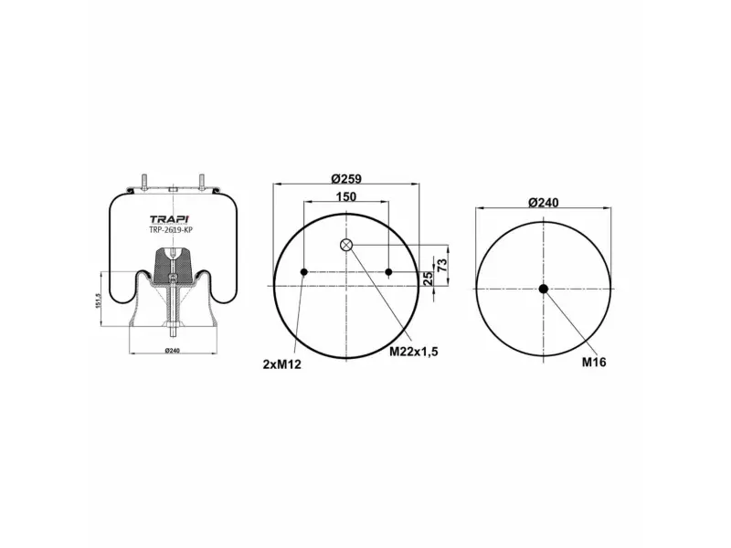 COMPLETE WITH PLASTIC PISTON