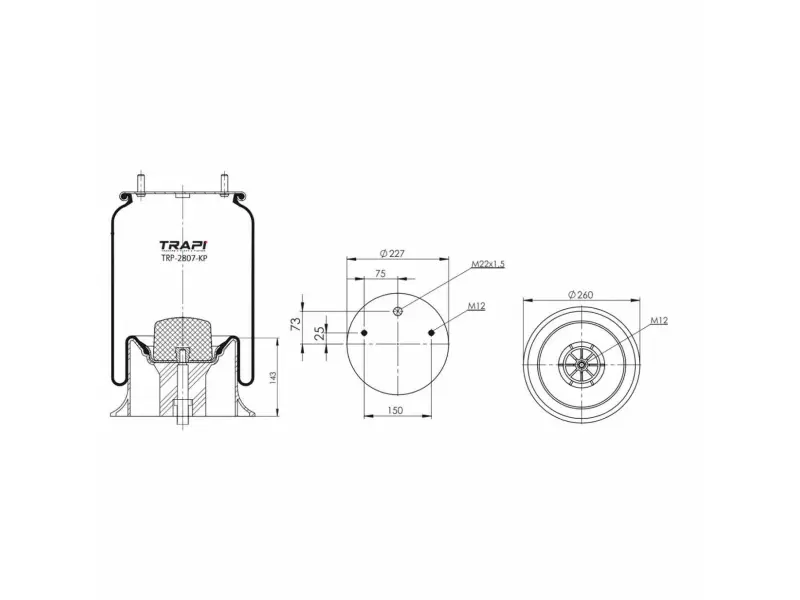 COMPLETE WITH PLASTIC PISTON