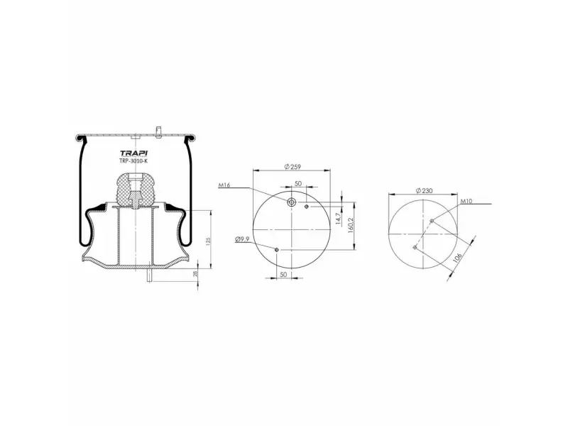 COMPLETE WITH METAL PISTON