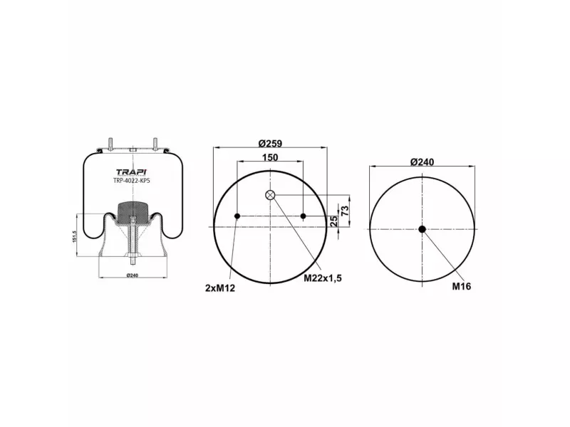 COMPLETE WITH PLASTIC PISTON