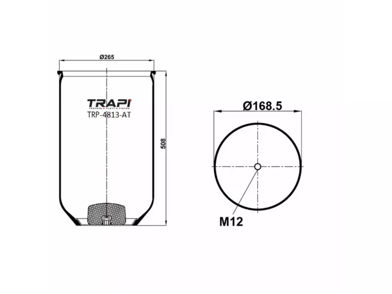 COMPLETE WITH METAL PISTON