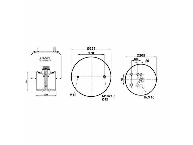 COMPLETE WITH METAL PISTON