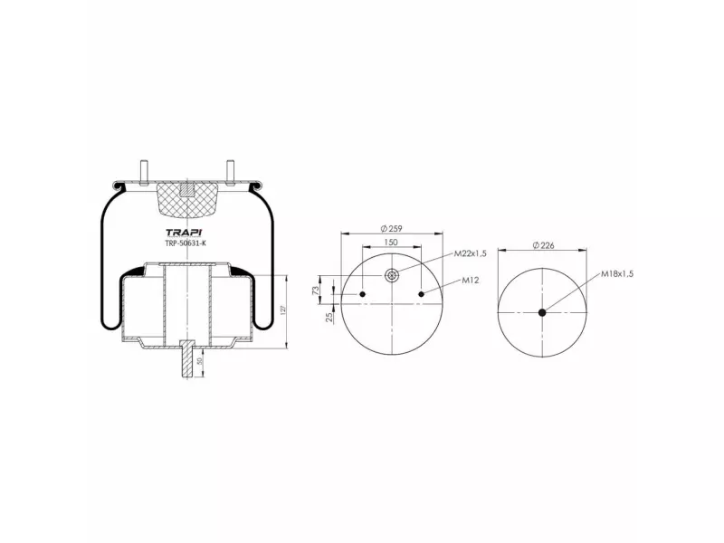 COMPLETE WITH METAL PISTON