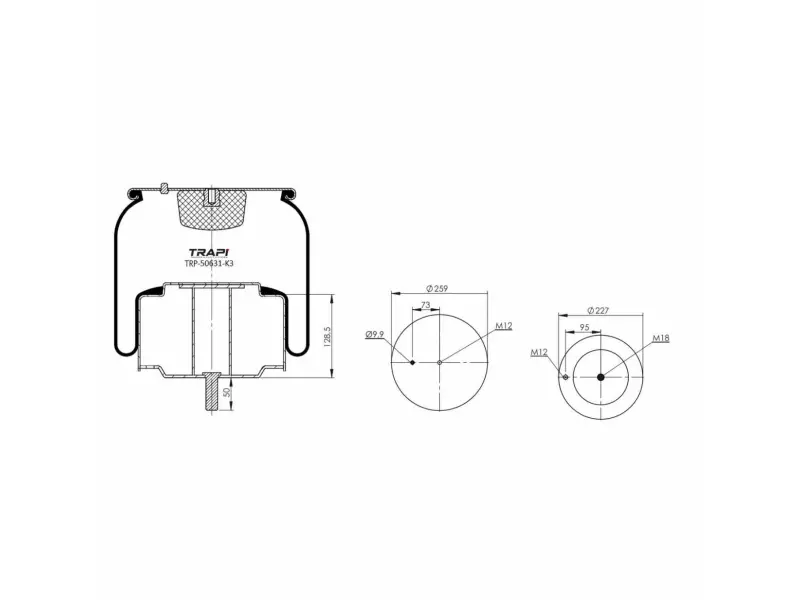 COMPLETE WITH METAL PISTON