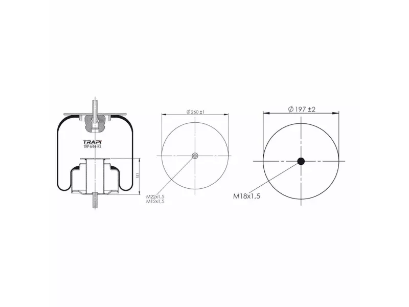 COMPLETE WITH METAL PISTON