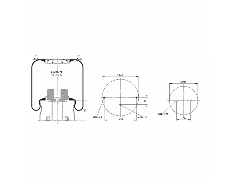 COMPLETE WITH METAL PISTON