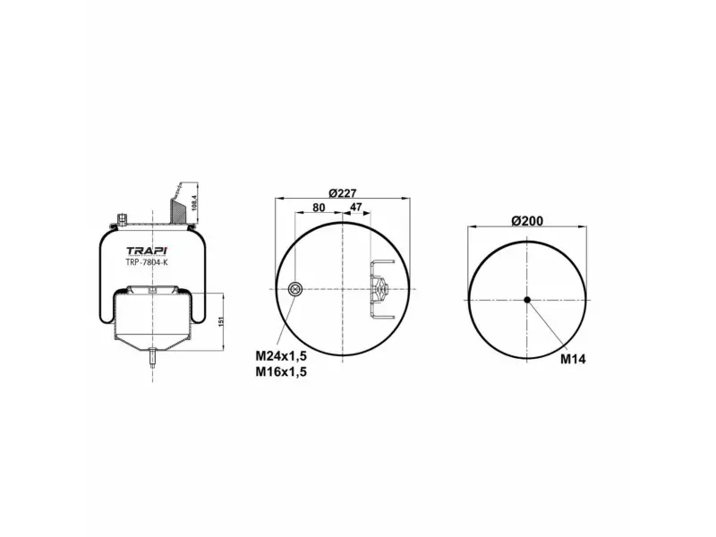 COMPLETE WITH METAL PISTON