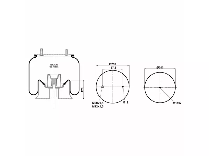 COMPLETE WITH METAL PISTON