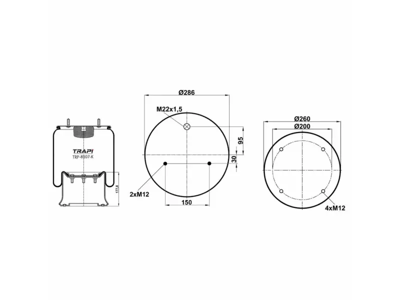 COMPLETE WITH METAL PISTON