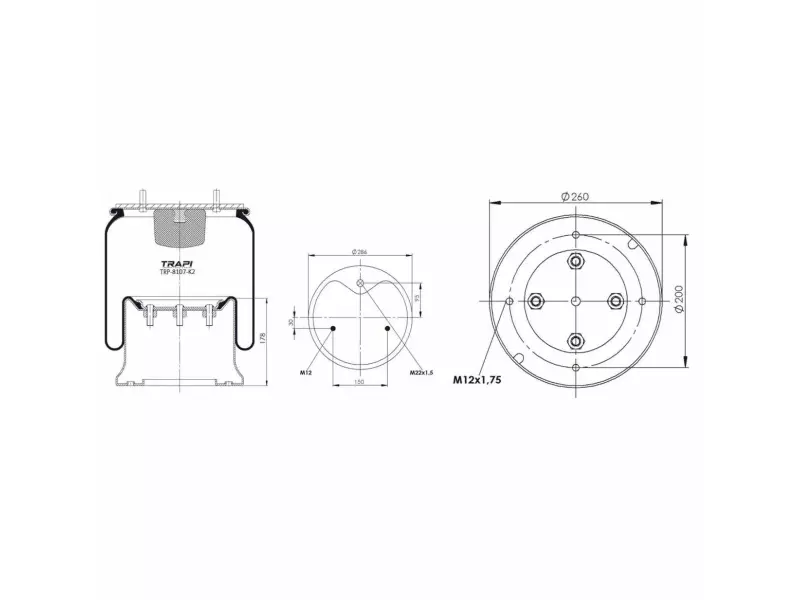 COMPLETE WITH METAL PISTON