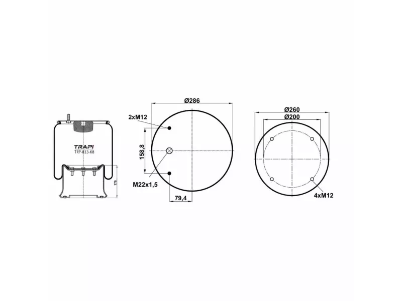COMPLETE WITH METAL PISTON