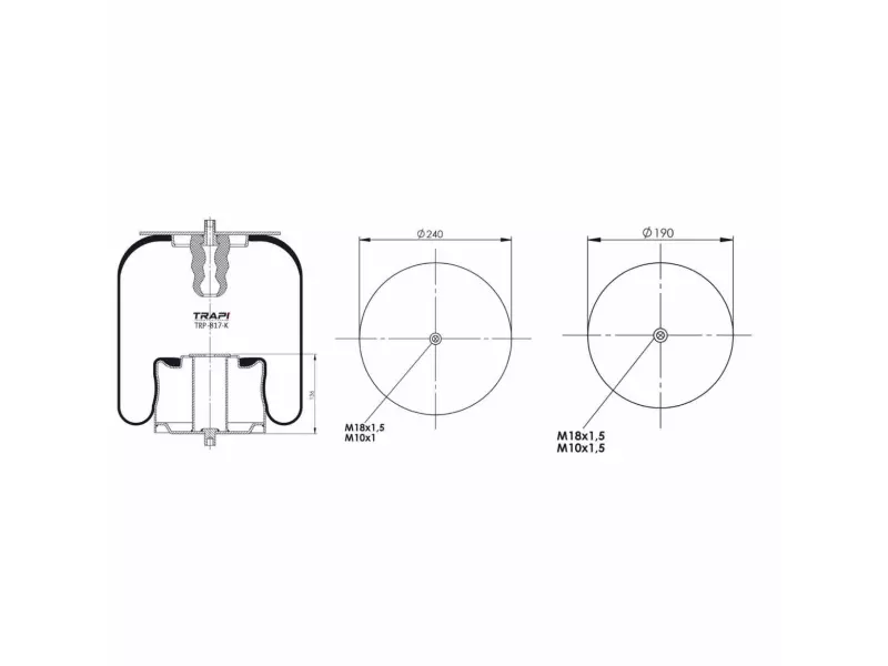 COMPLETE WITH METAL PISTON