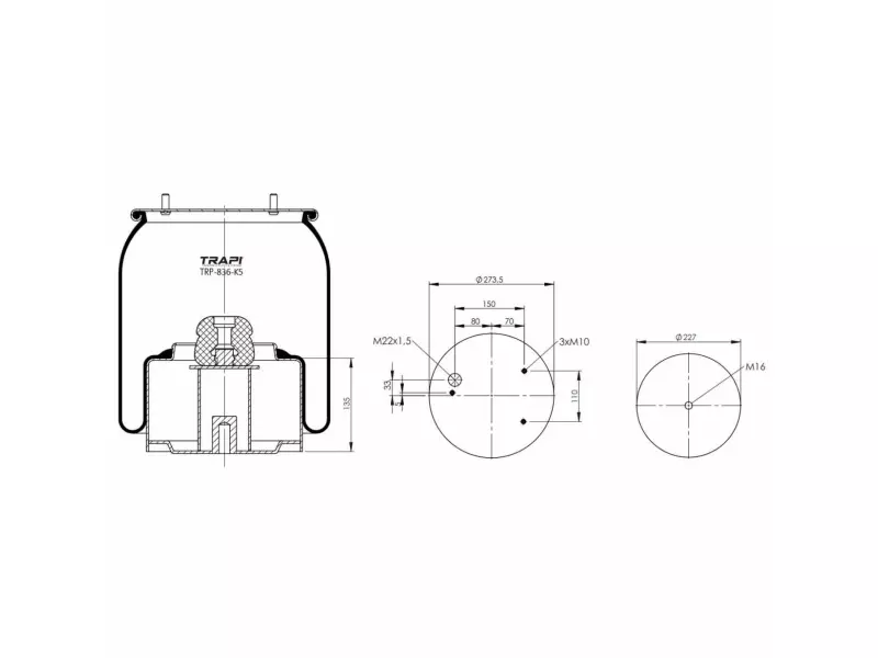 COMPLETE WITH METAL PISTON