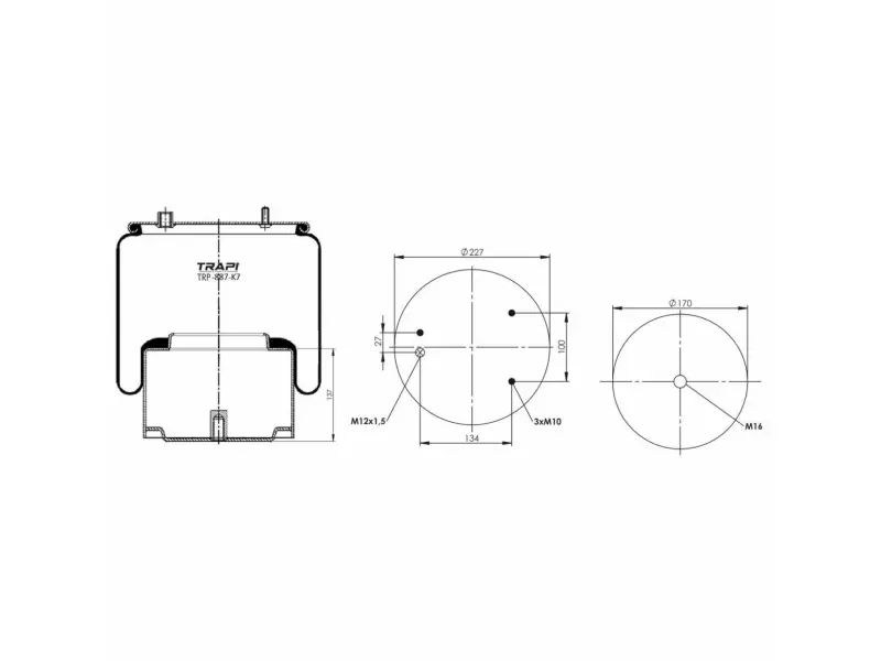 COMPLETE WITH METAL PISTON