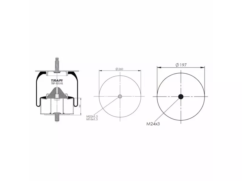 COMPLETE WITH METAL PISTON