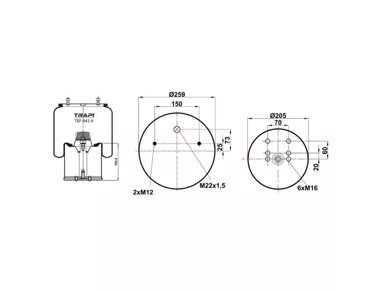 COMPLETE WITH METAL PISTON
