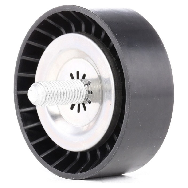 GERGİ BİLYASI-10X70X25,5-PLASTİK
